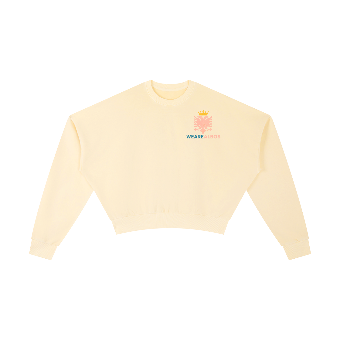 Vintage Washed Cropped Sweatshirt