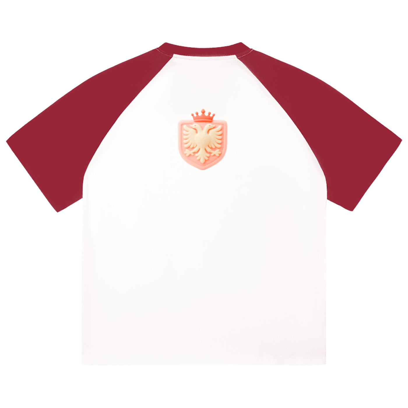 Color-Blocked Raglan Sleeve T-Shirt (Loose)