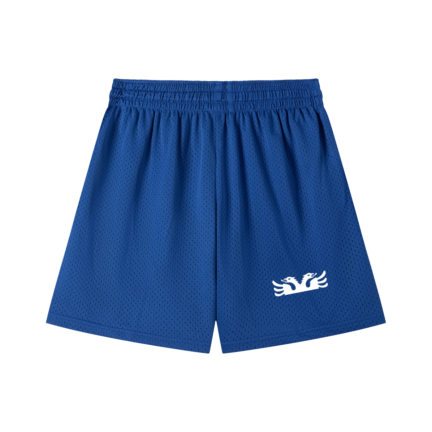 Mesh Drawstring Shorts (Loose)