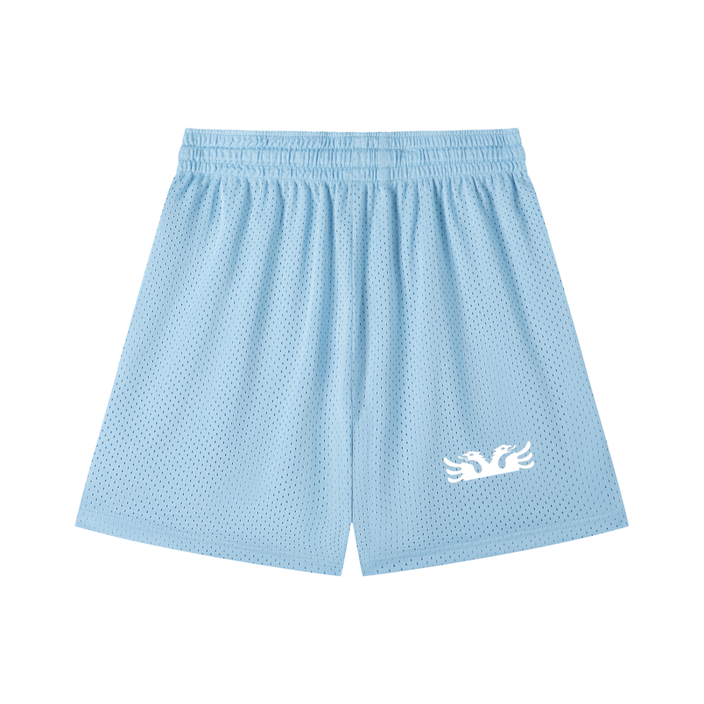 Mesh Drawstring Shorts (Loose)