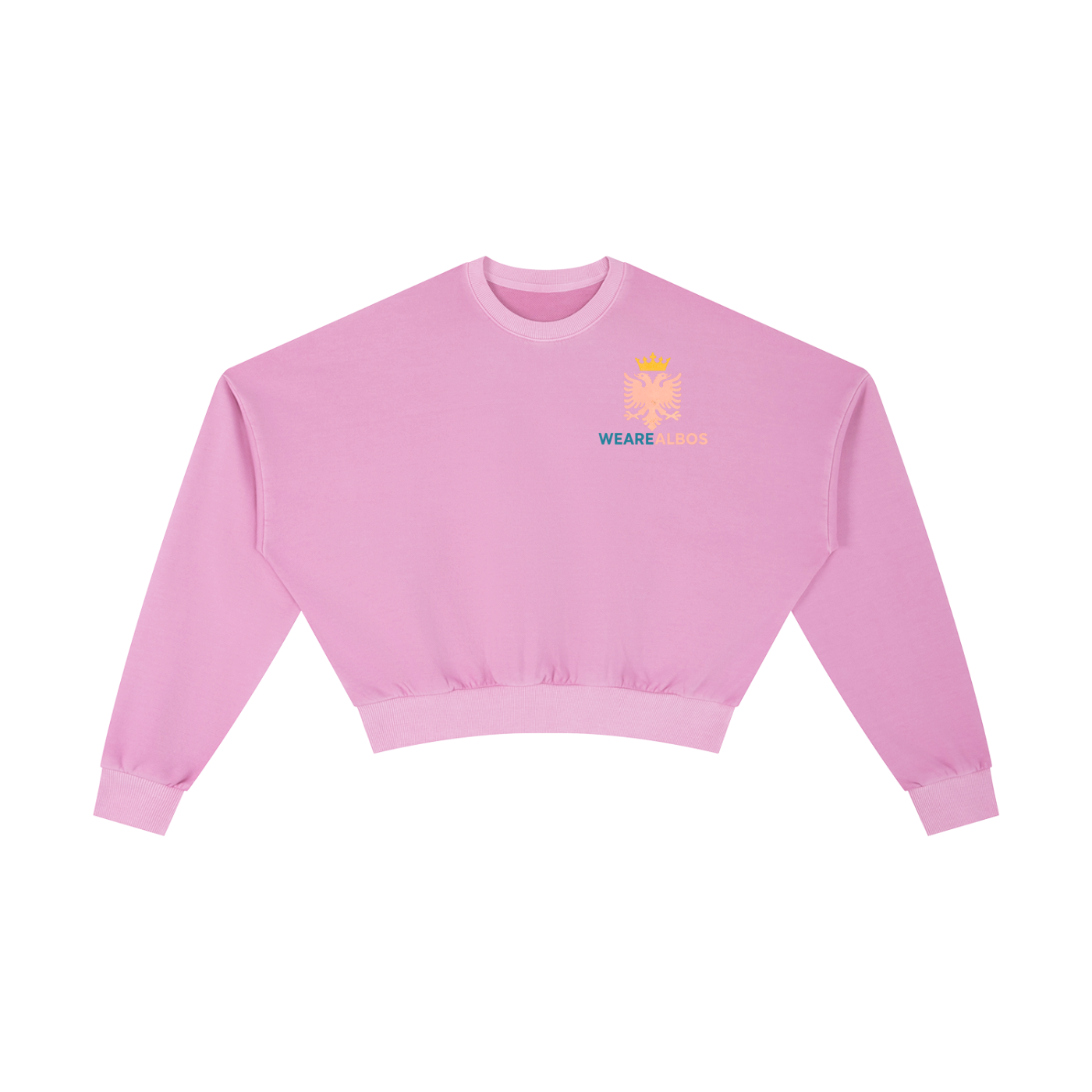 Vintage Washed Cropped Sweatshirt