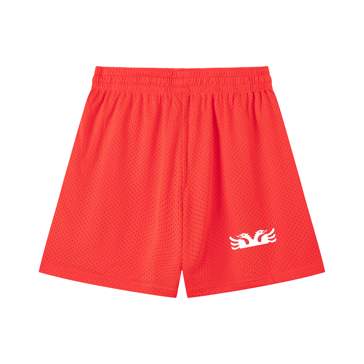Mesh Drawstring Shorts (Loose)