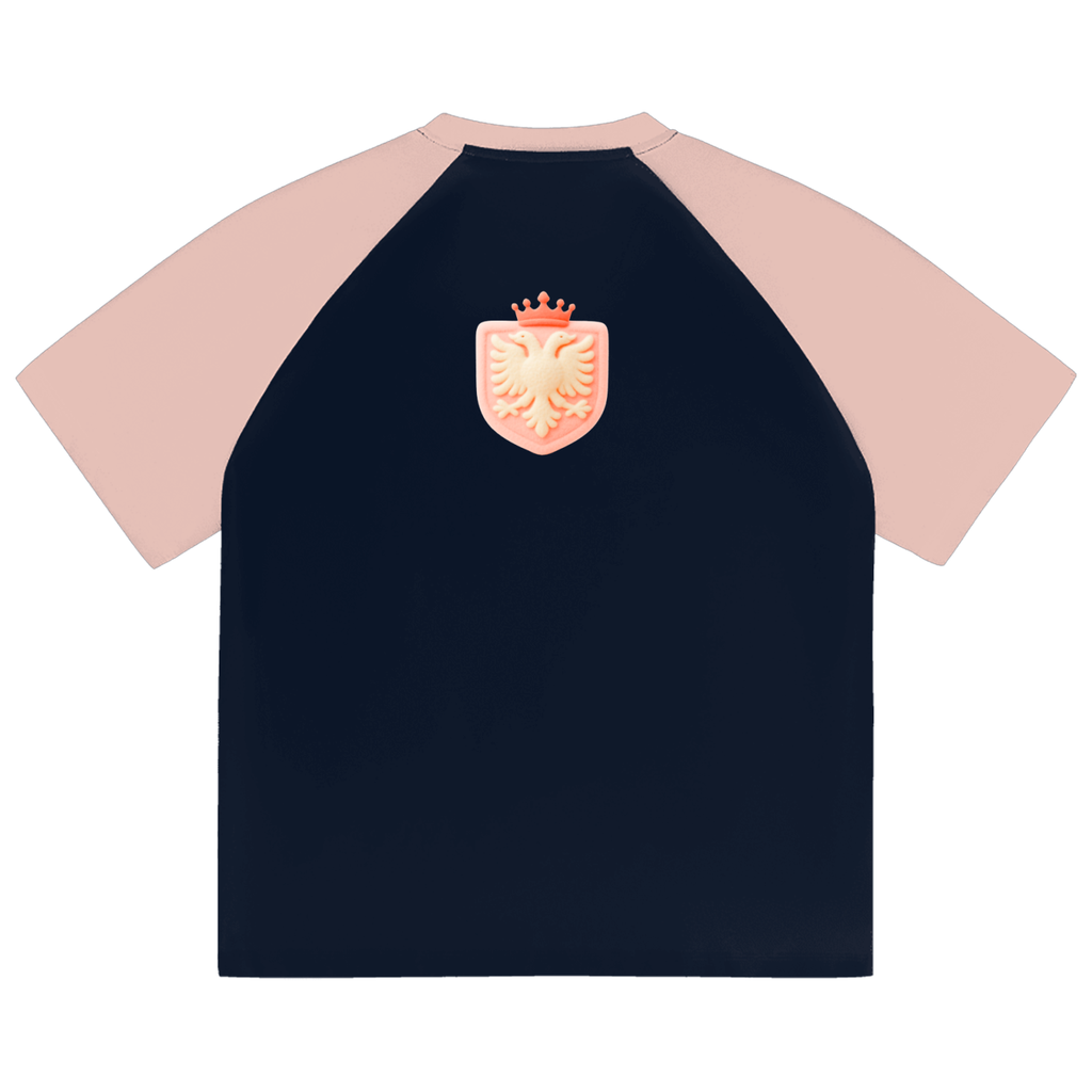 Color-Blocked Raglan Sleeve T-Shirt (Loose)