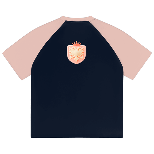 Color-Blocked Raglan Sleeve T-Shirt (Loose)