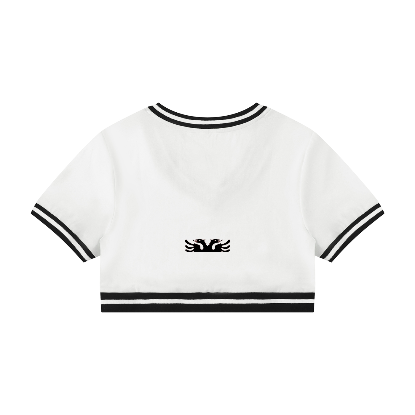 Women's Color Block V-Neck Crop T-Shirt (Skinny)